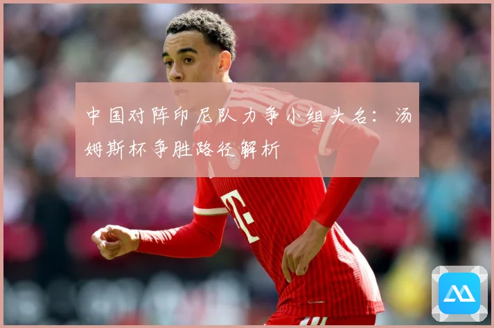 中国对阵印尼队力争小组头名：汤姆斯杯争胜路径解析